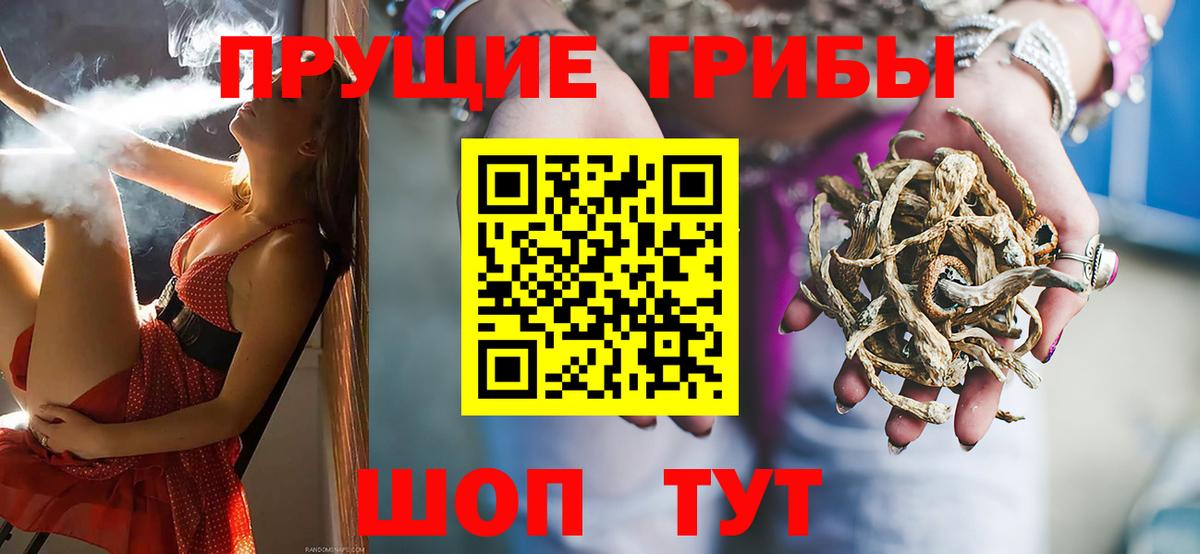 Псилоцибиновые грибы Psilocybe Мегион